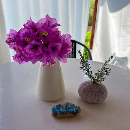 Casa vacanze Robinson Ina 2 Selca kod Bogomolja