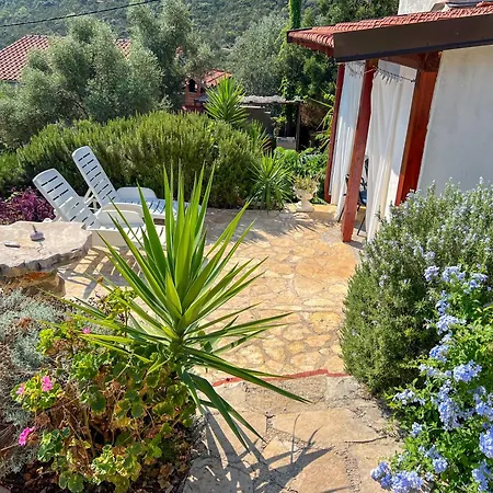 Robinson Ina 2 * Selca kod Bogomolja