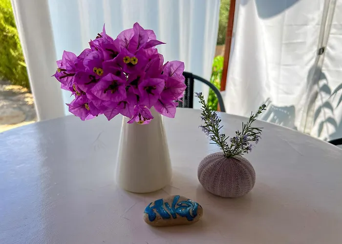 Casa vacanze Robinson Ina 2 Selca kod Bogomolja