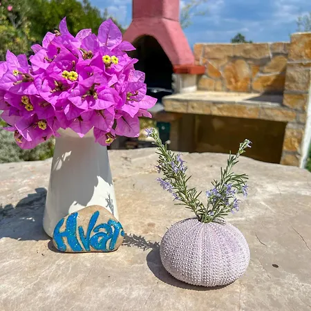 Robinson Ina 2 Selca kod Bogomolja